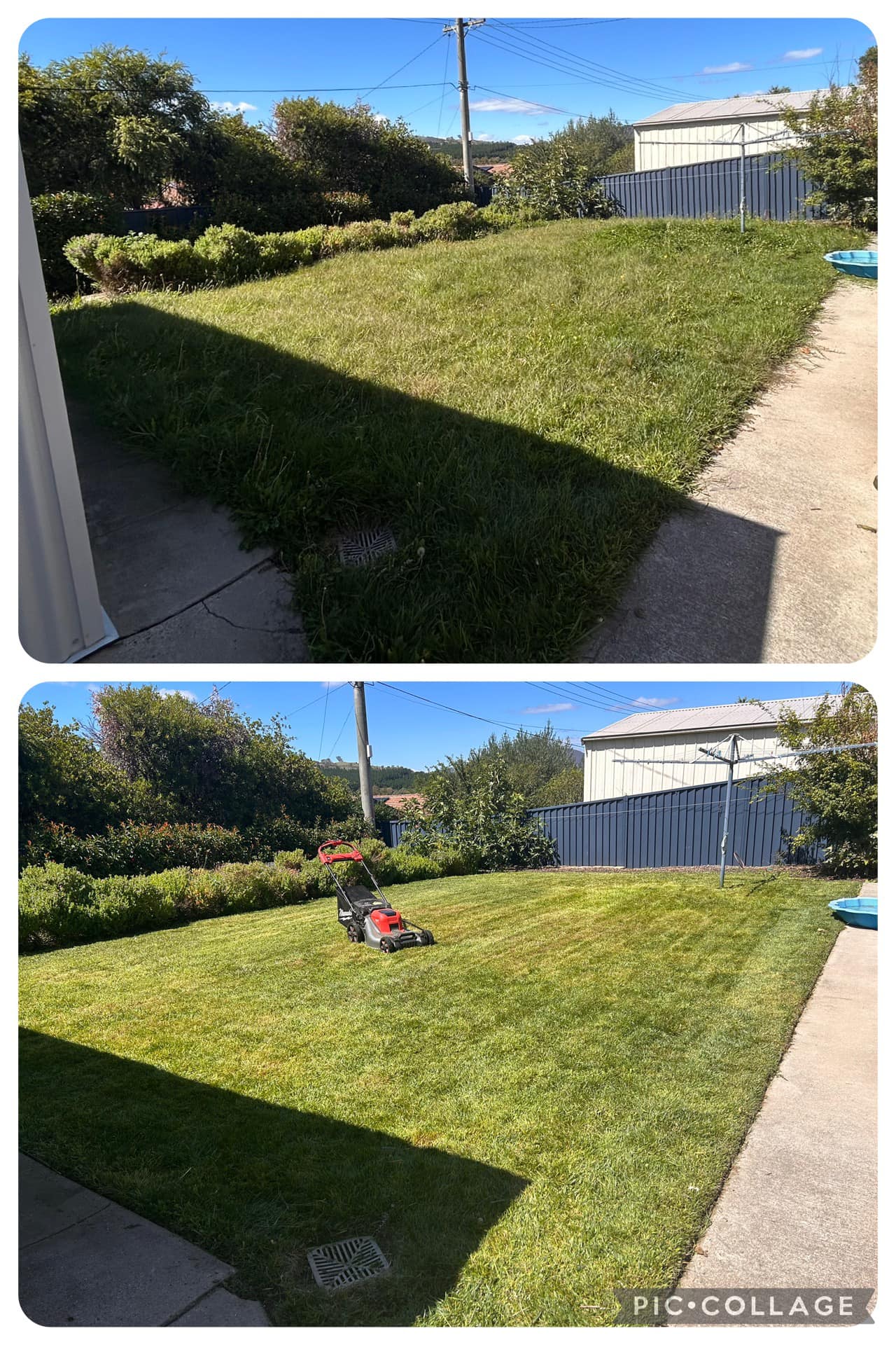 Lawn Mow & Edge