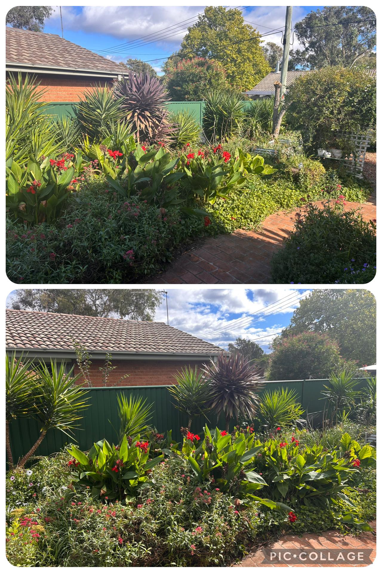 Garden Bed Tidy Up