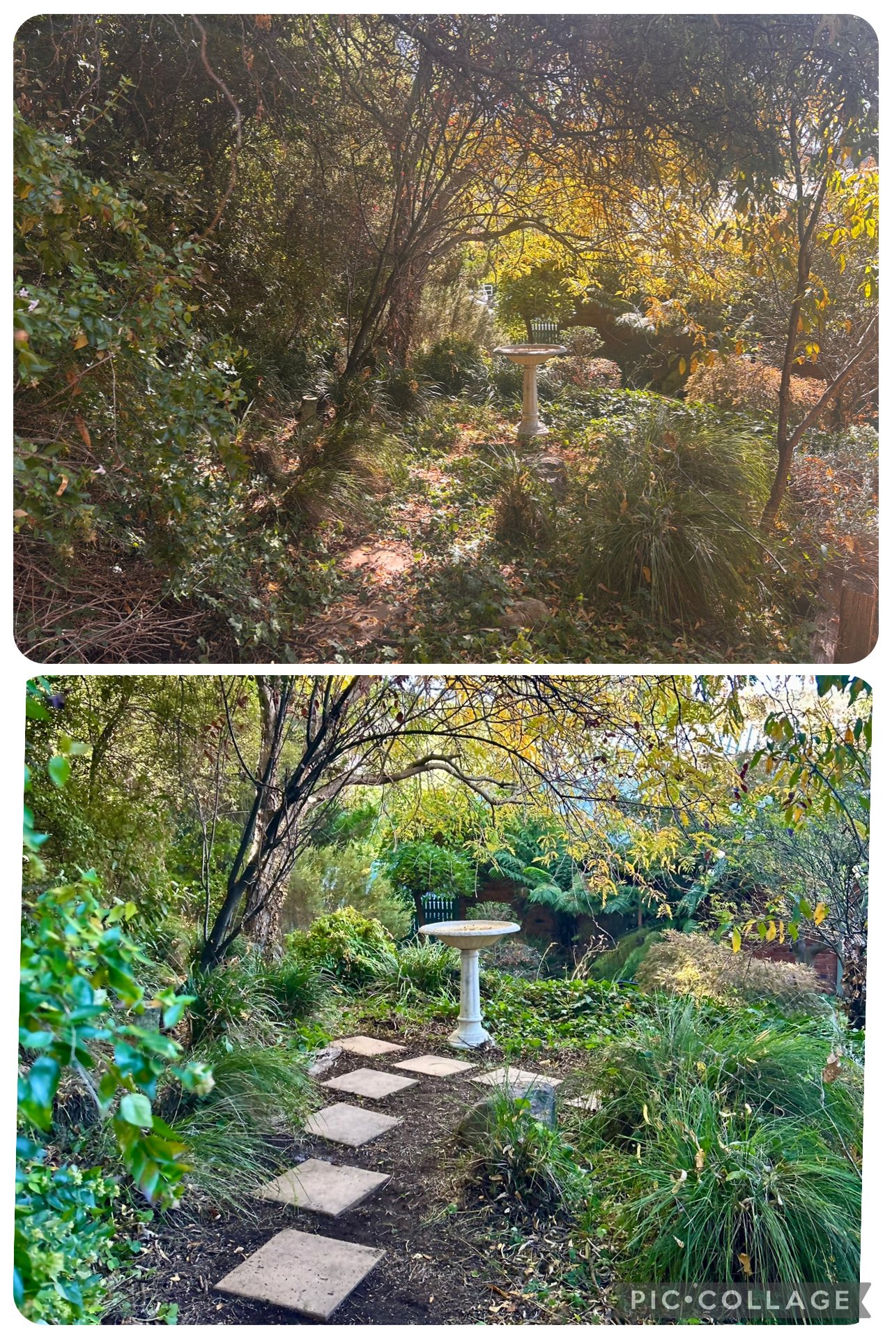 Native Garden Revival