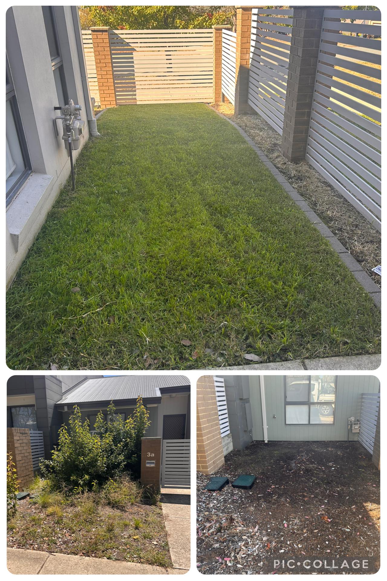 Front Yard Refresh